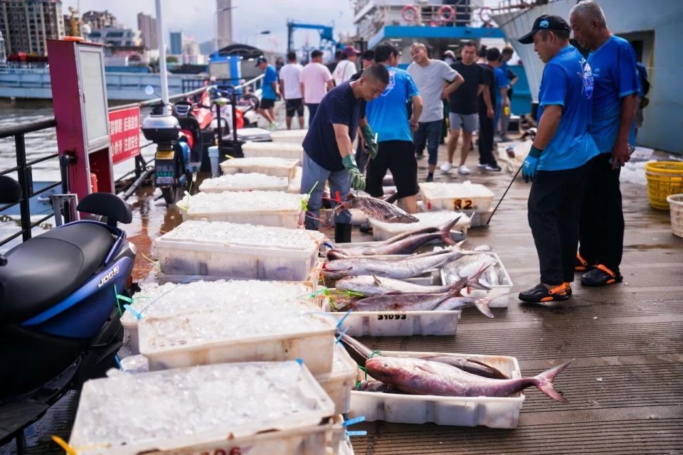 bt, 全国深海船, 张餐桌座无