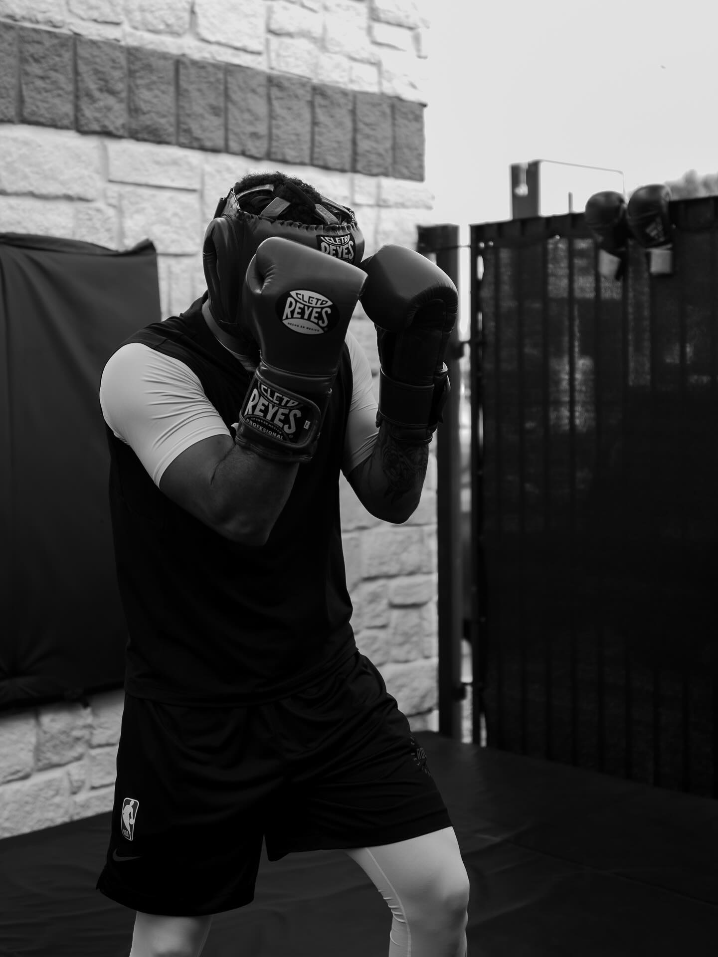 击训练的照, 自己进行拳, yid