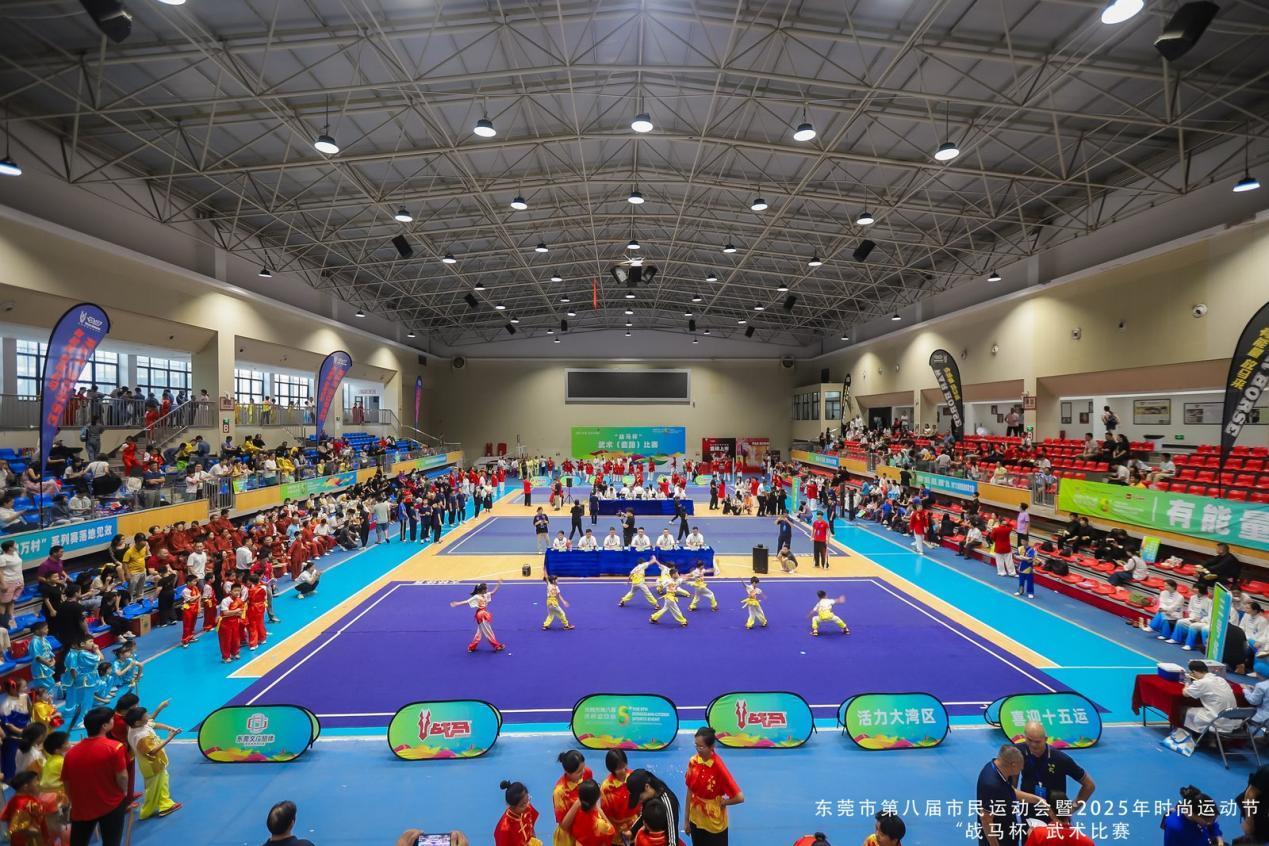 武术套路, tenan 武术套路, tenan