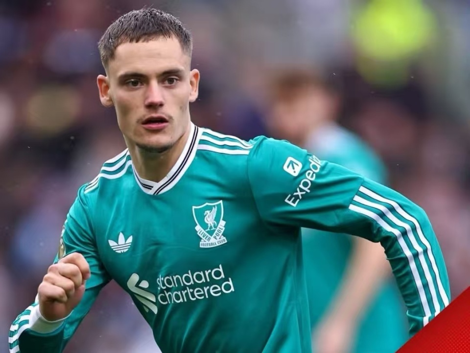 他其实已经, 维尔茨, WIZfu 他其实已经, 维尔茨, WIZfu